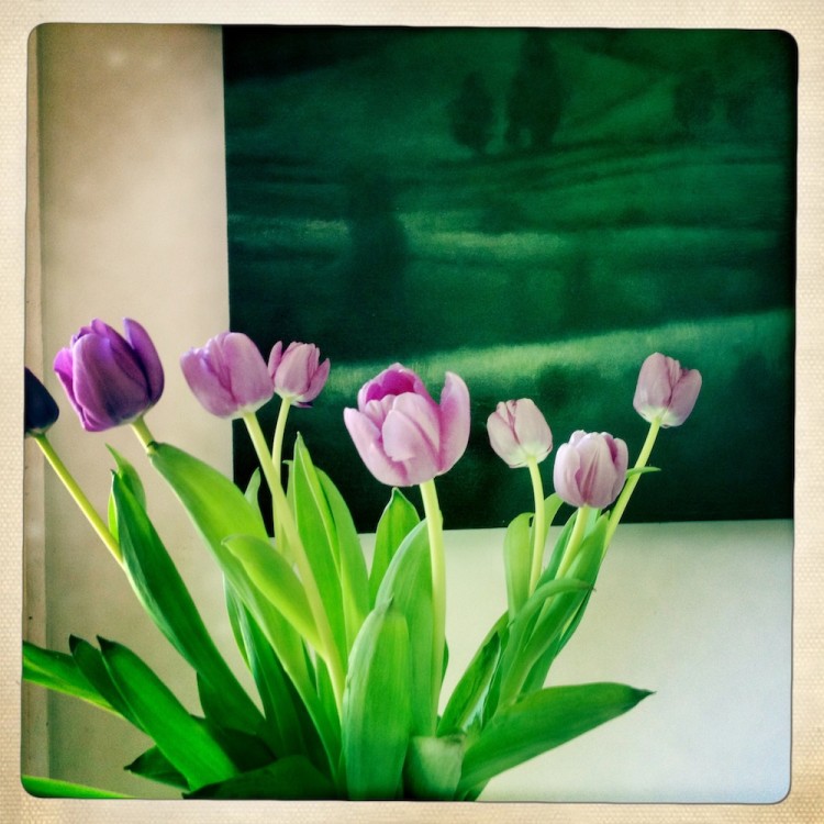 gratitude total balance