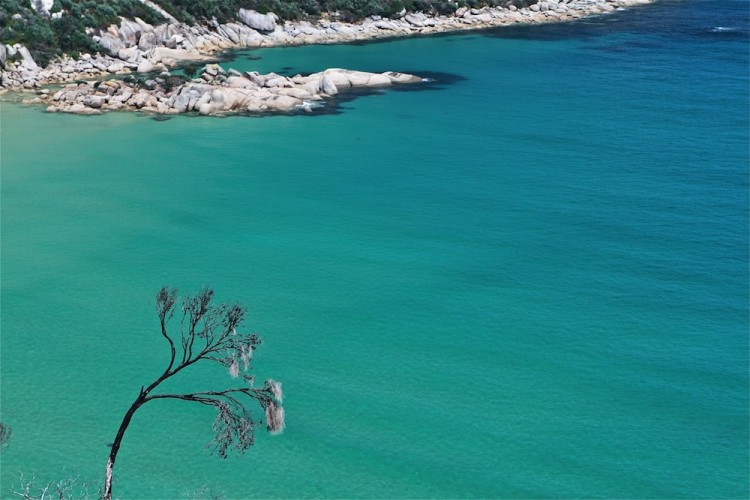 change total balance