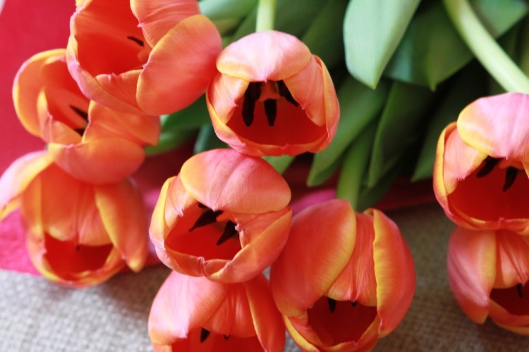 kind to yourself total balance