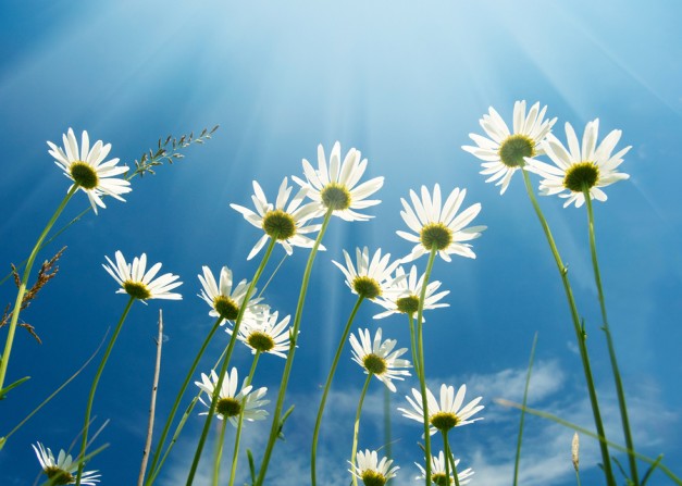 the way things are total balance