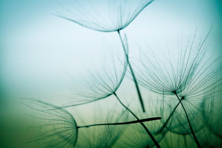 let go total balance