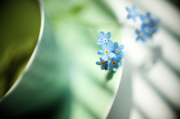 mindfulness everyday total balance