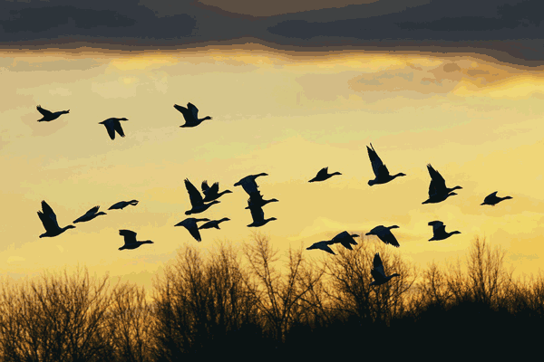 is-something-calling-you-by-kate-james