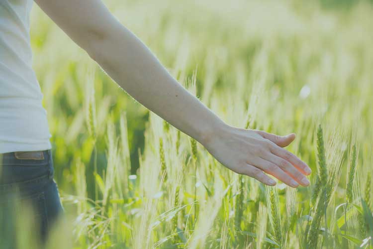 ways to be happier now by kate james