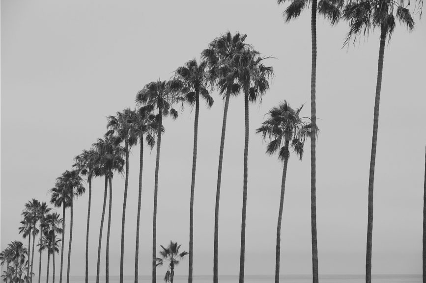 Ten-things-confident-people-do-by-kate-james