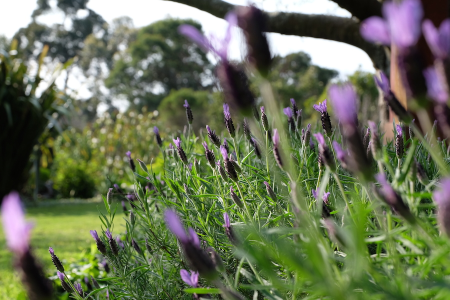 finding-beauty-in-everyday-by-kate-james