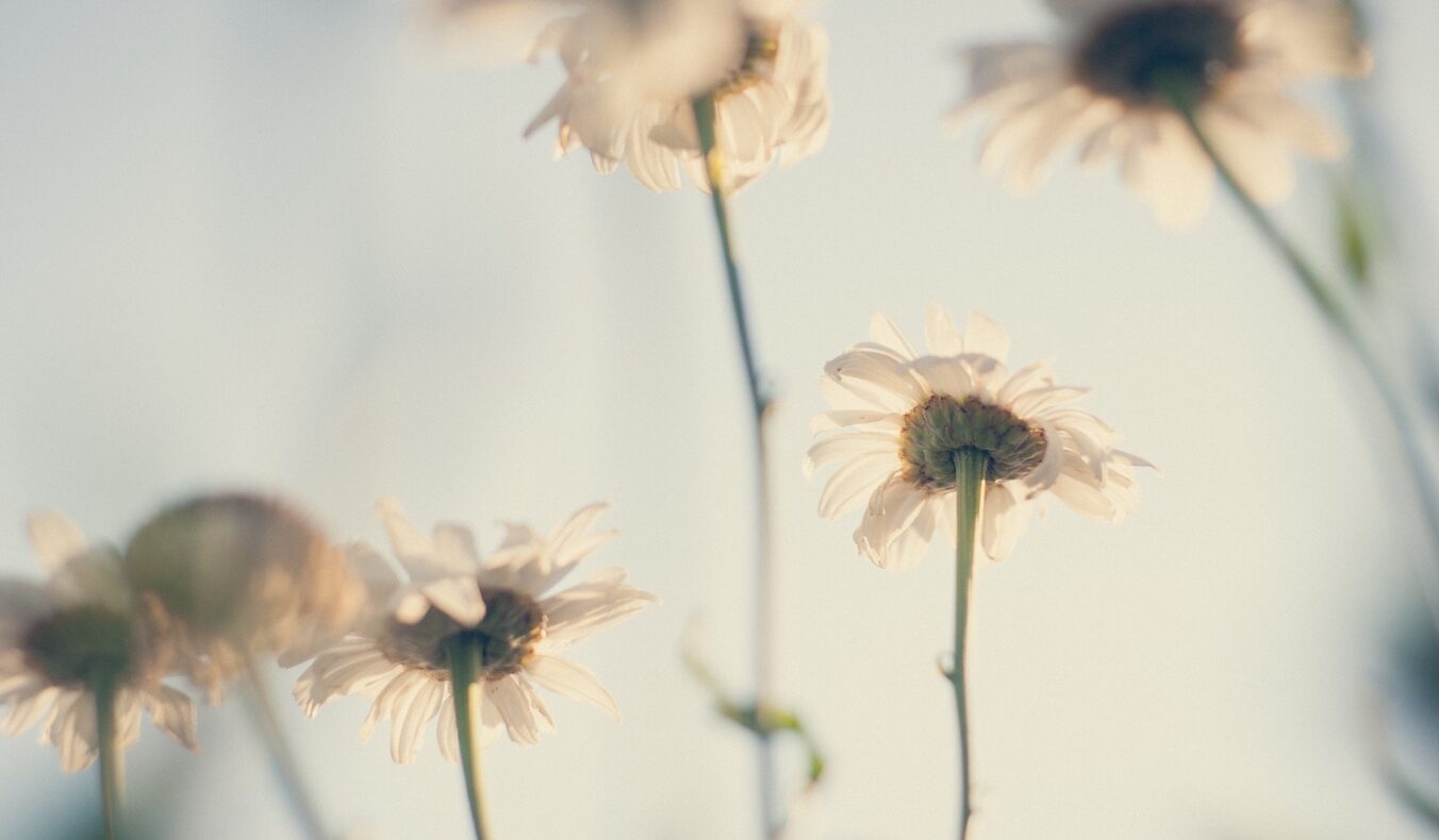 discover your values