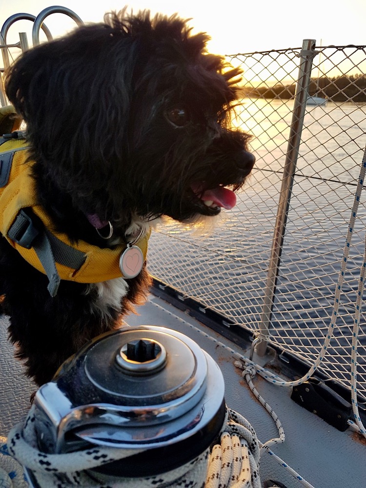 Nicola-and-Lacey-sailing-1-1