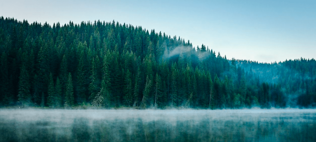 The Confidence Course By Kate