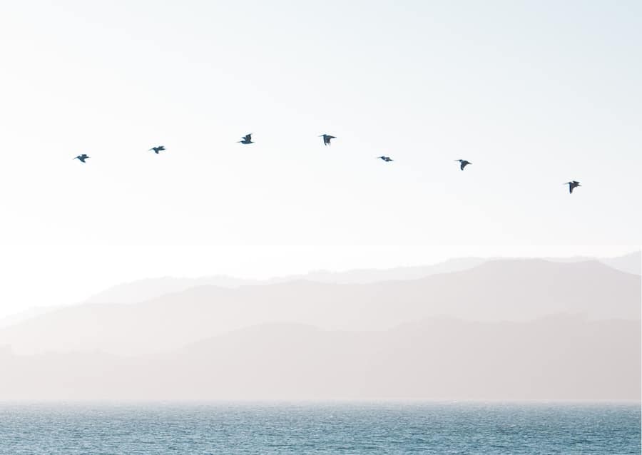 5 ways to simplify life