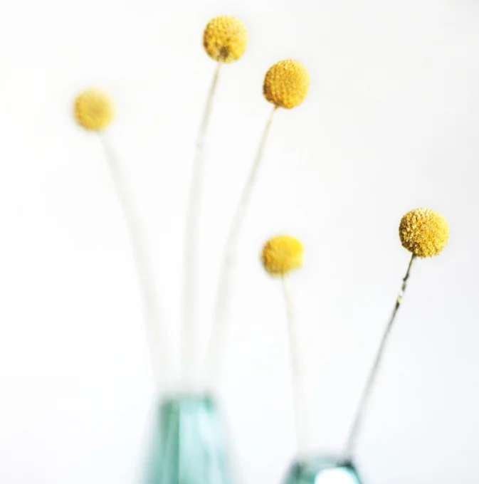 Life Coaching Melbourne Clients