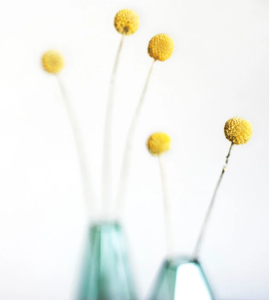 life-coaching-clients life-coaching-clients