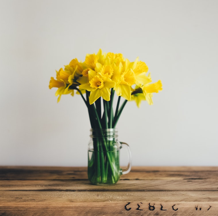 Kate James is an author and life coach supporting women.