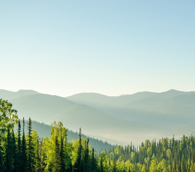 morning fog over mountains