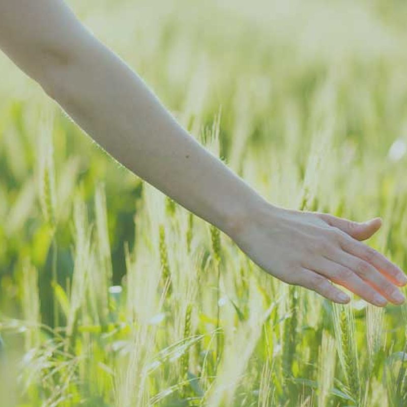 ways to be happier now by kate james