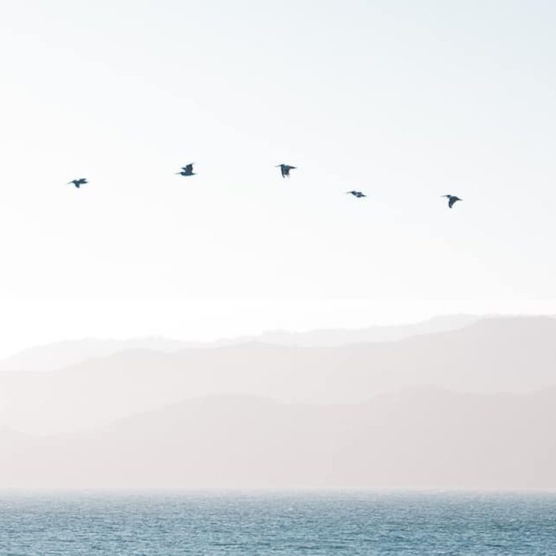 5 ways to simplify life