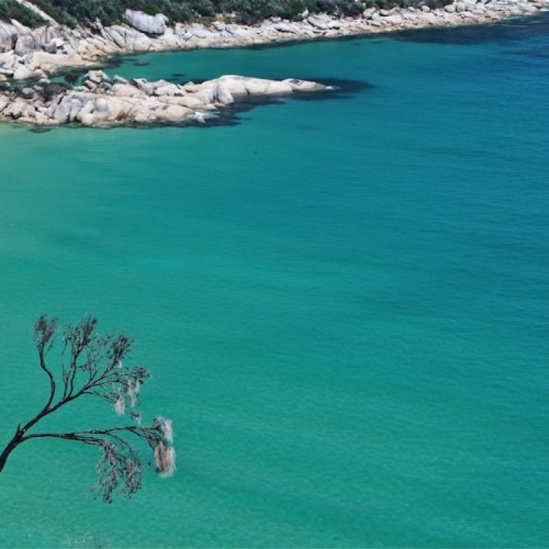 change total balance