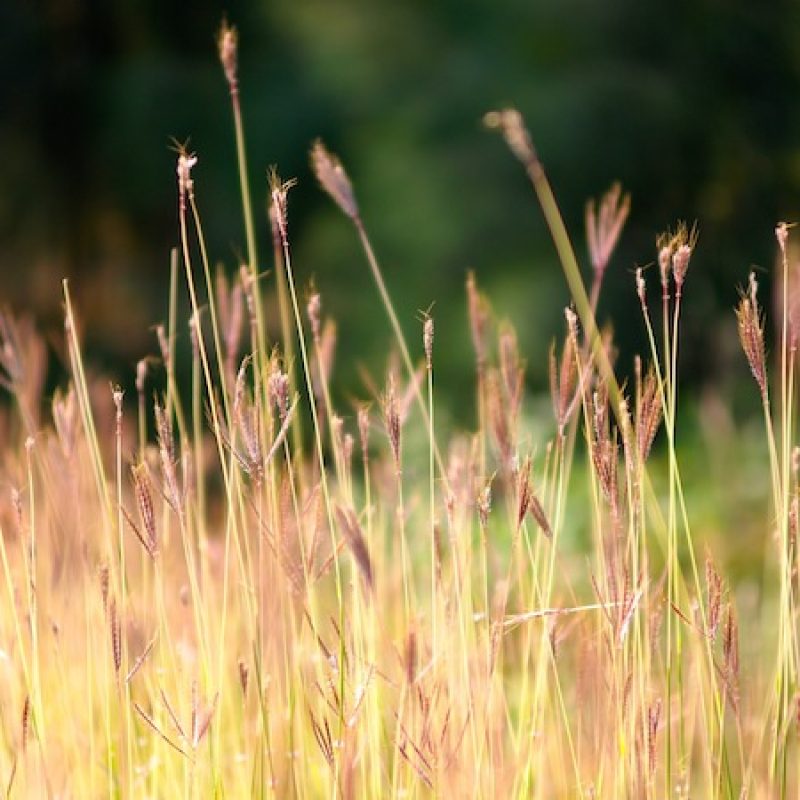 are-you-ready-for-change