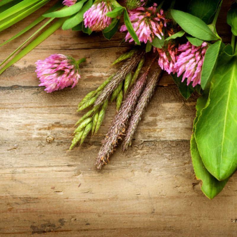 12-small-things-to-lift-your-mood total balance