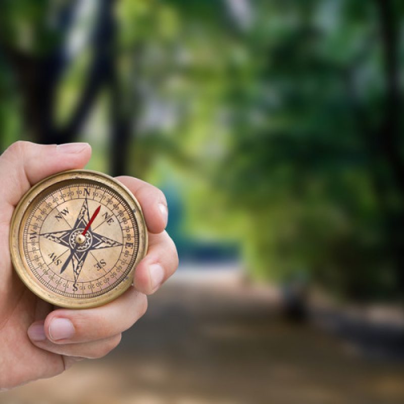 decision making total balance