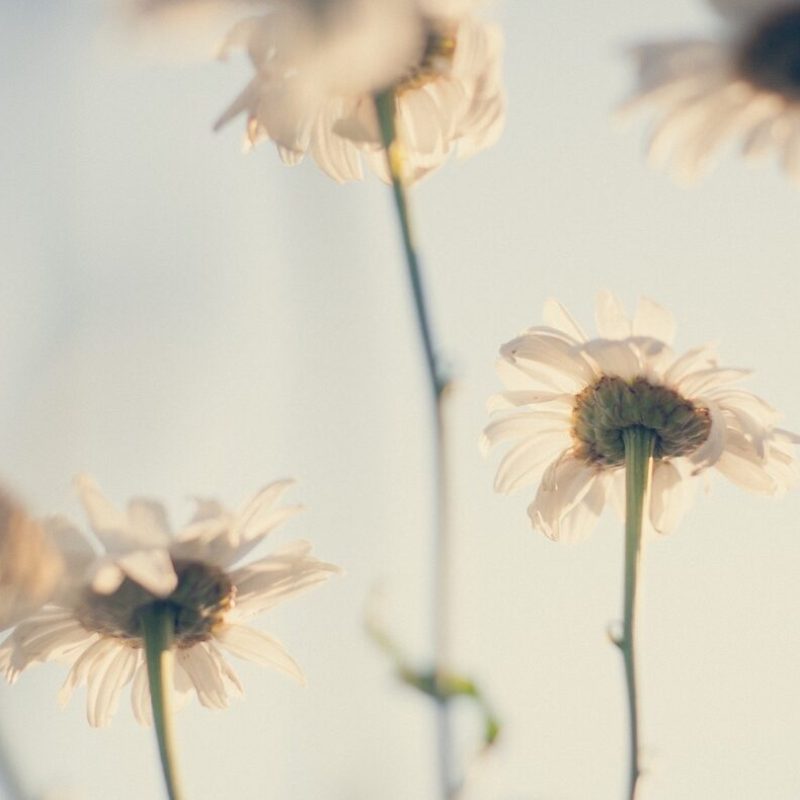 discover your values