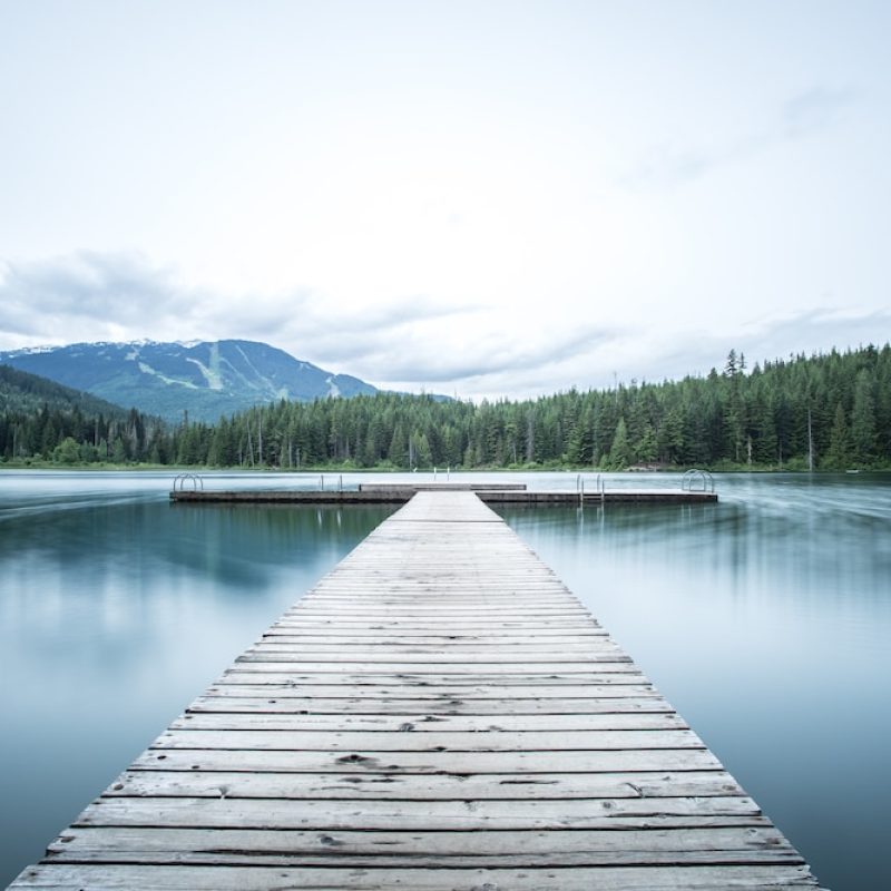 embracing change with a life coach