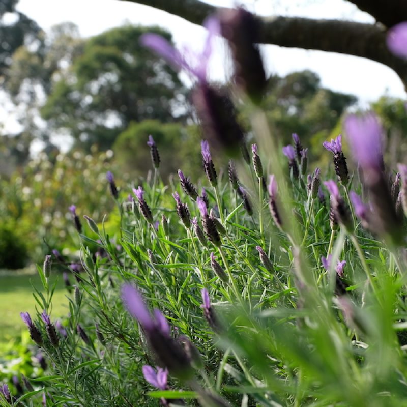 finding-beauty-in-everyday-by-kate-james