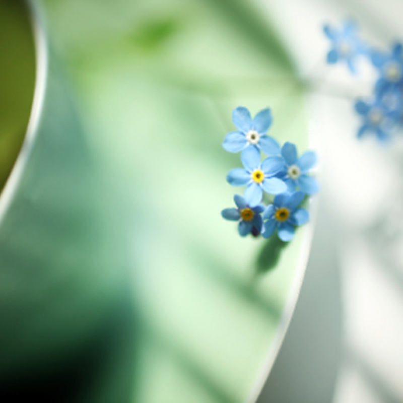 mindfulness everyday total balance