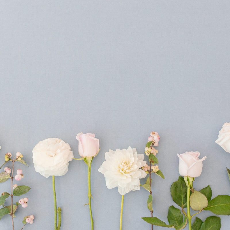 the-upside-of-comparison