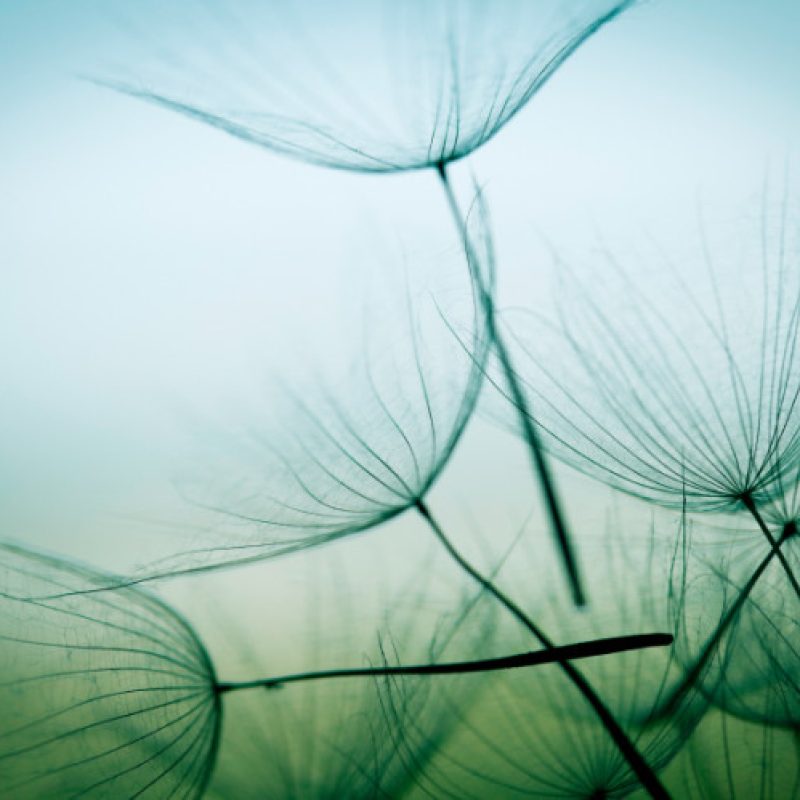 let go total balance