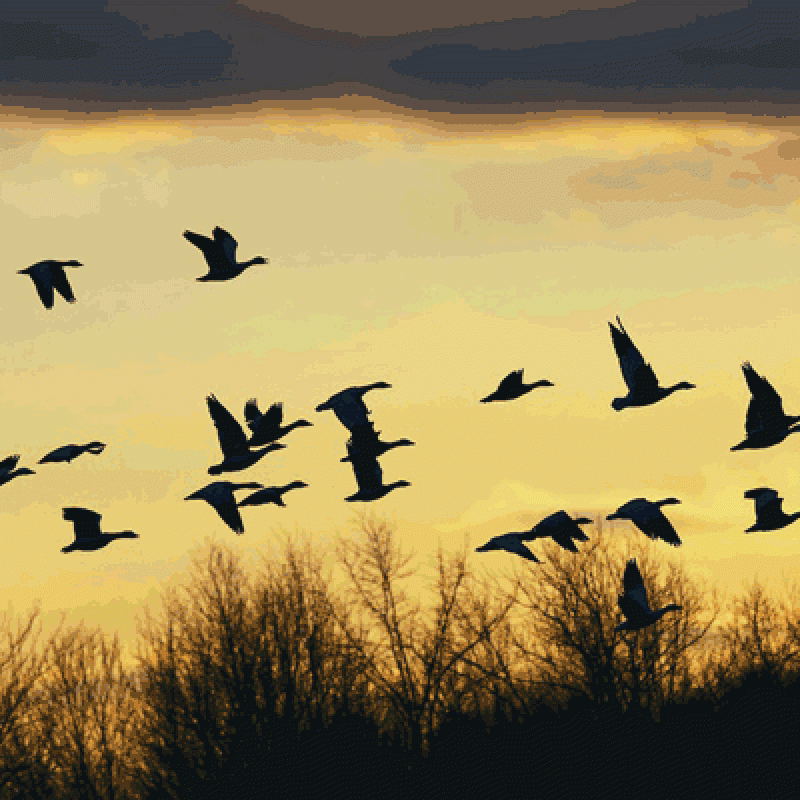 is-something-calling-you-by-kate-james