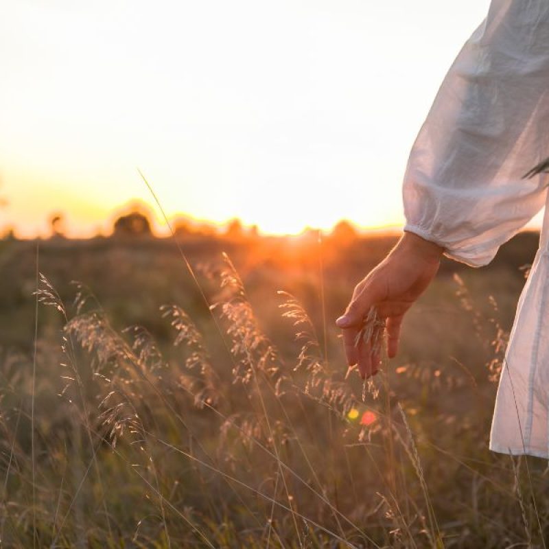 Woman walking through field at sunset