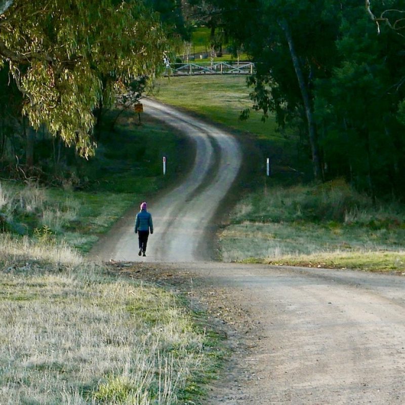 Woman walking along a winding country road.