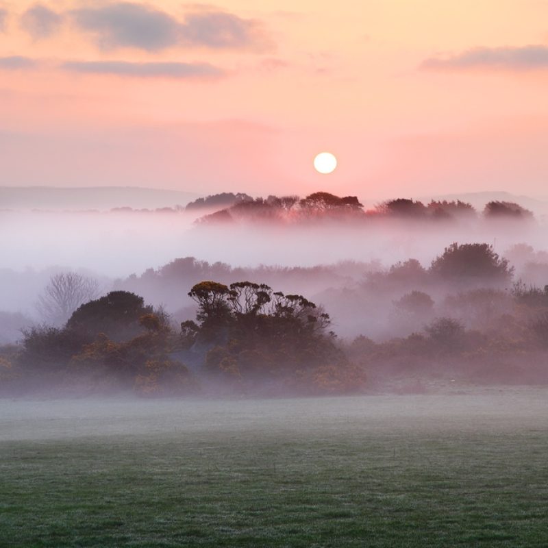 reconnect-to-intuition